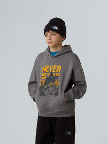 Худи The North Face Sports Oversized модель NF0A8EAM0UZ1 Фото