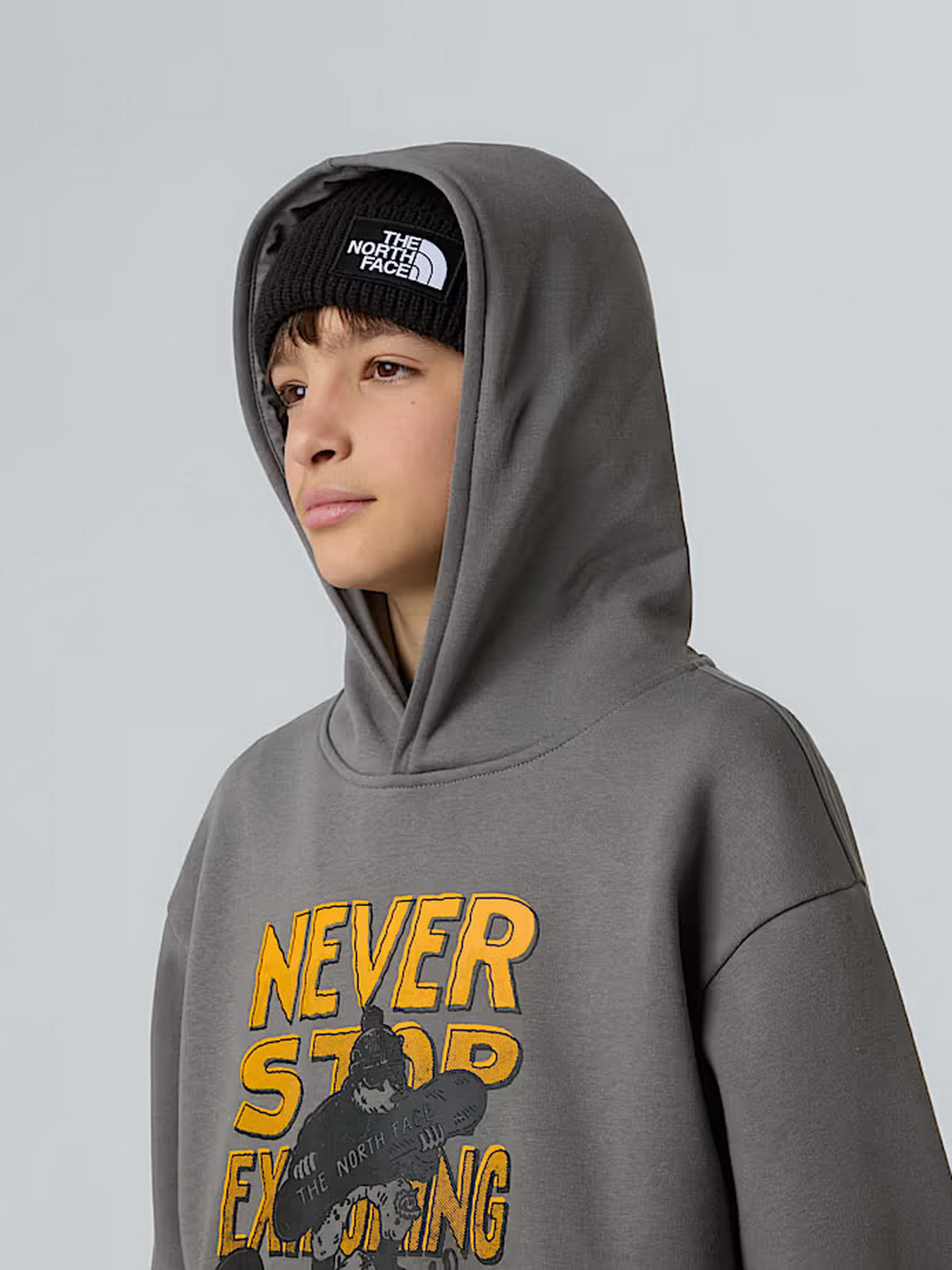 Худи The North Face Sports Oversized модель NF0A8EAM0UZ1 Фото