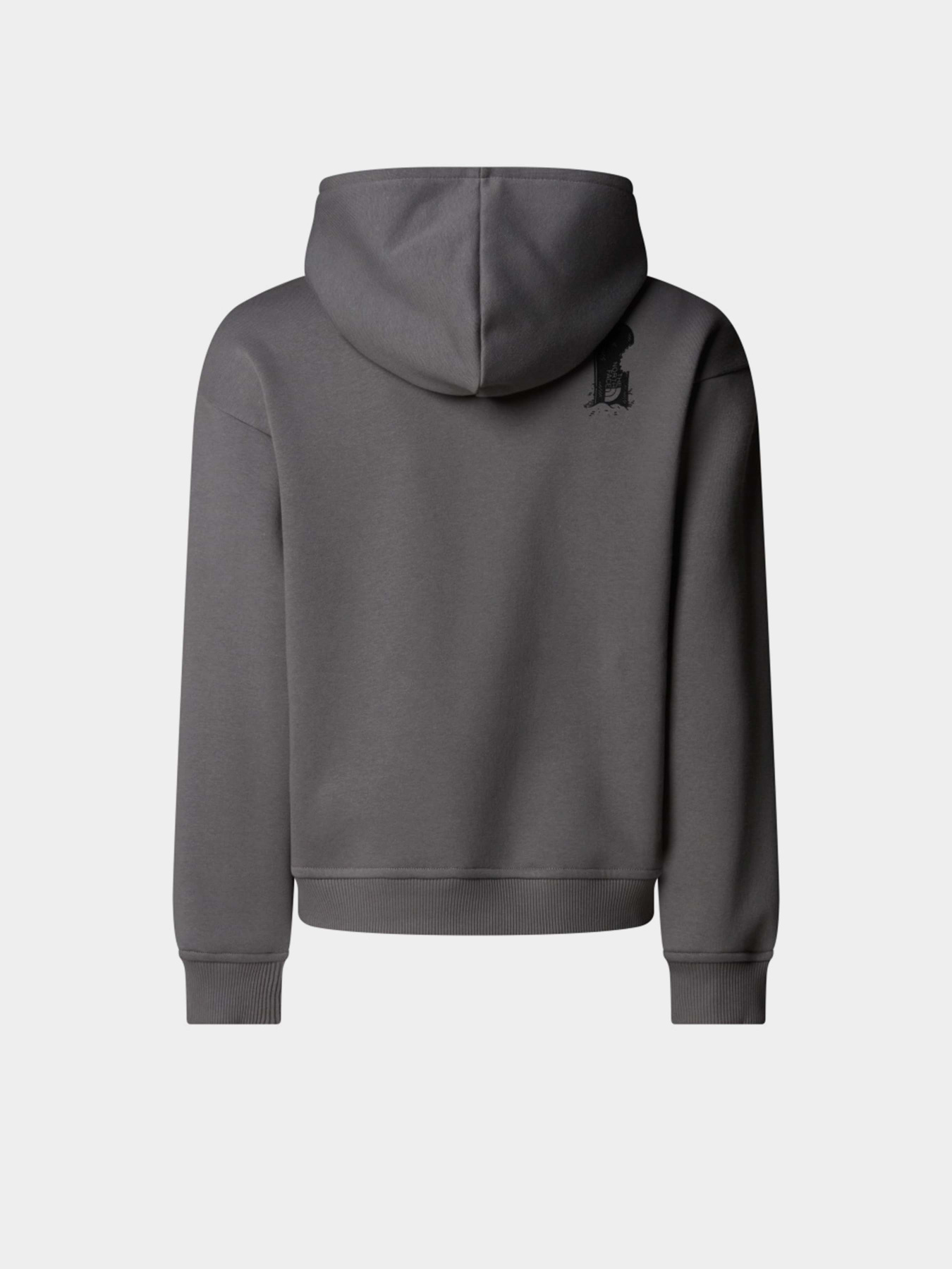 Худи The North Face Sports Oversized модель NF0A8EAM0UZ1 Фото