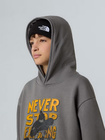 Худи The North Face Sports Oversized модель NF0A8EAM0UZ1 Фото