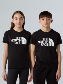 Футболка The North Face Easy модель NF0A8EHGJK31 Фото