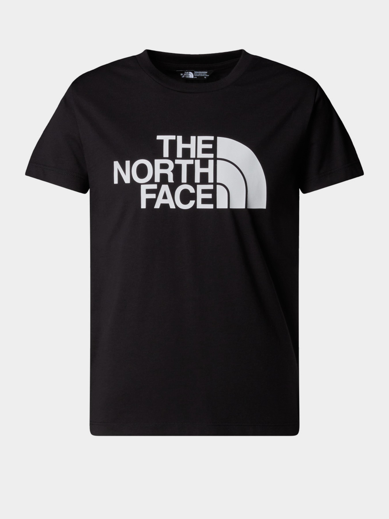 Футболка The North Face Easy модель NF0A8EHGJK31 Фото