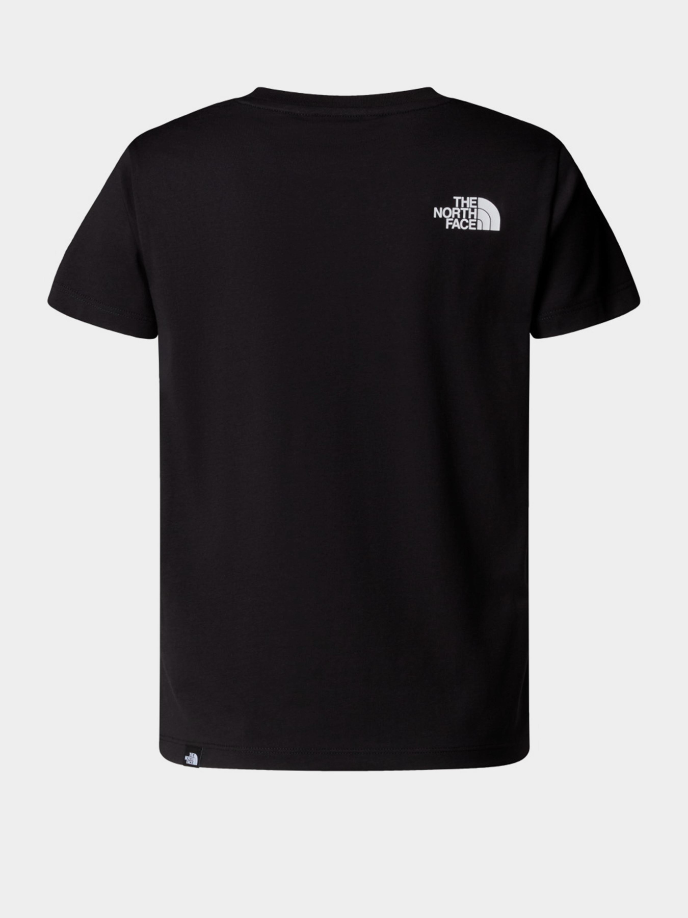 Футболка The North Face Easy модель NF0A8EHGJK31 Фото