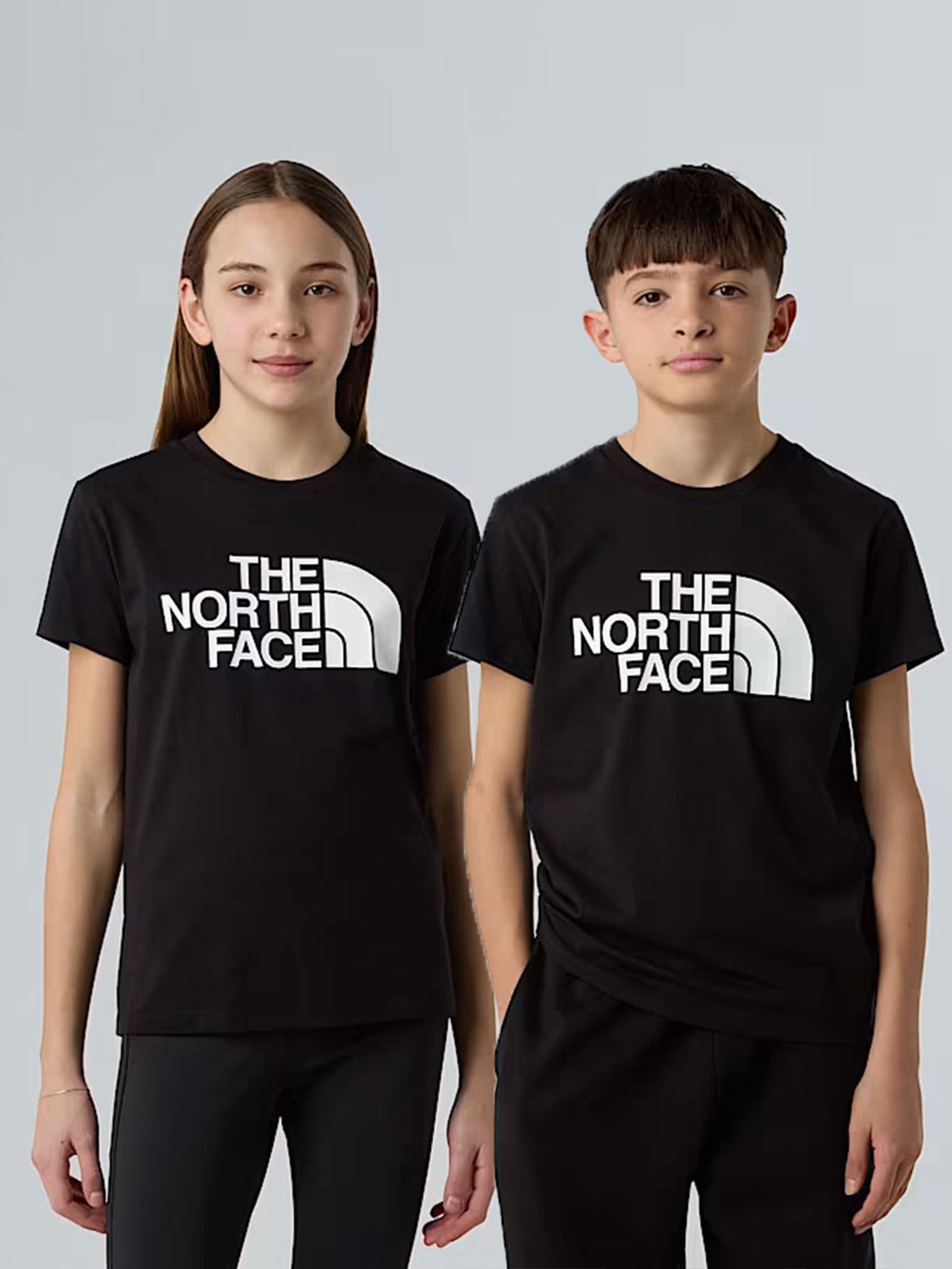 Футболка The North Face Easy модель NF0A8EHGJK31 Фото