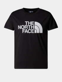 Футболка The North Face Easy модель NF0A8EHGJK31 Фото