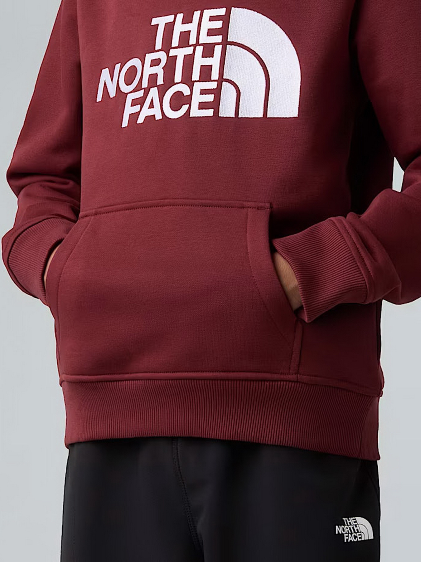 Худи The North Face модель NF0A8EHH0VO1 Фото