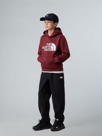 Худи The North Face модель NF0A8EHH0VO1 Фото