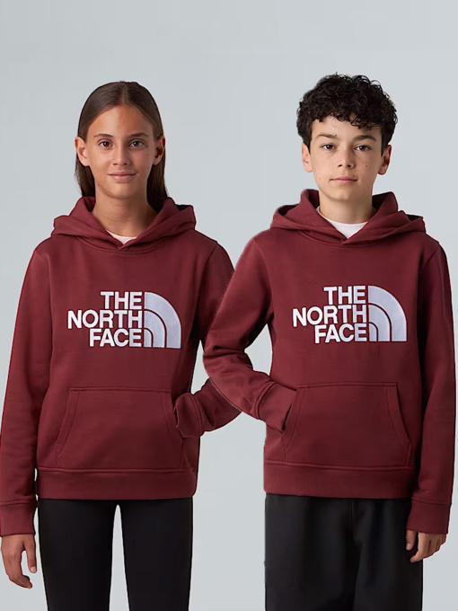 Худи The North Face модель NF0A8EHH0VO1 Фото