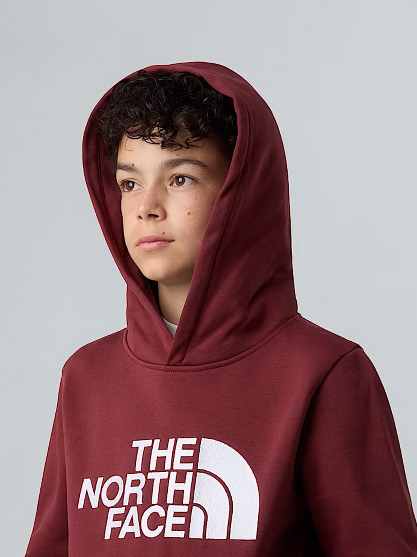 Худі The North Face модель NF0A8EHH0VO1 Худі The North Face модель NF0A8EHH0VO1 Фото