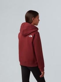 Худі The North Face модель NF0A8EHH0VO1 Худі The North Face модель NF0A8EHH0VO1 Фото