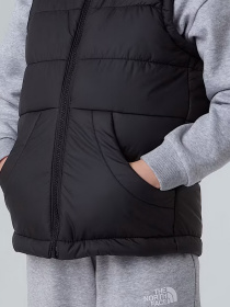 Жилет с утеплителем The North Face Hooded модель NF0A84YJJK31 Фото