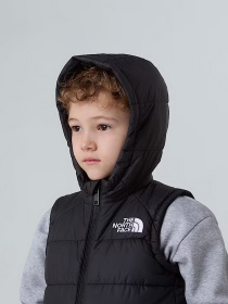 Жилет с утеплителем The North Face Hooded модель NF0A84YJJK31 Фото