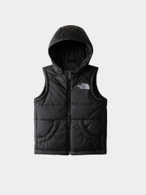 Жилет с утеплителем The North Face Hooded модель NF0A84YJJK31 Фото