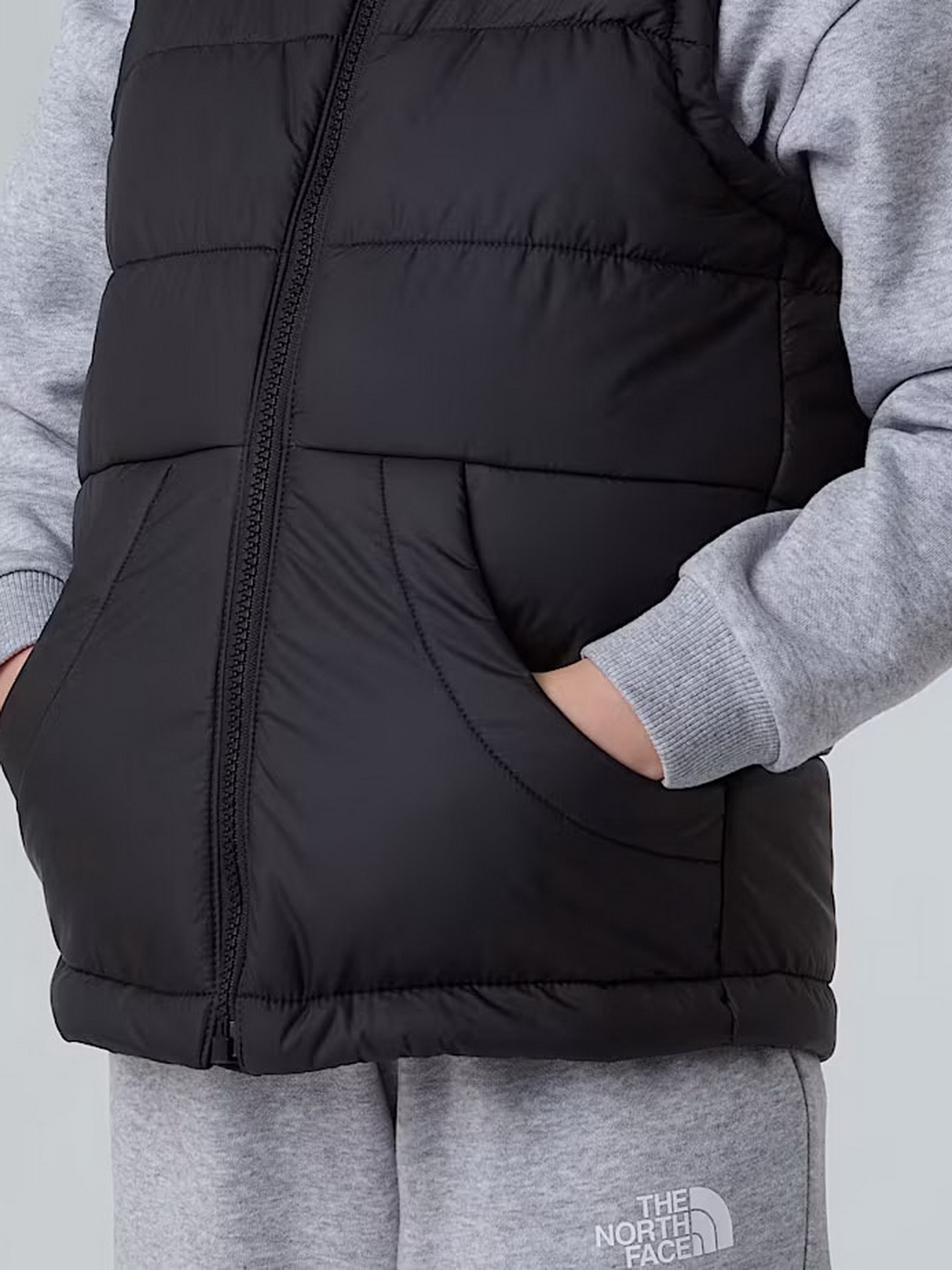 Утепленный жилет The North Face Hooded модель NF0A84YJJK31 Фото