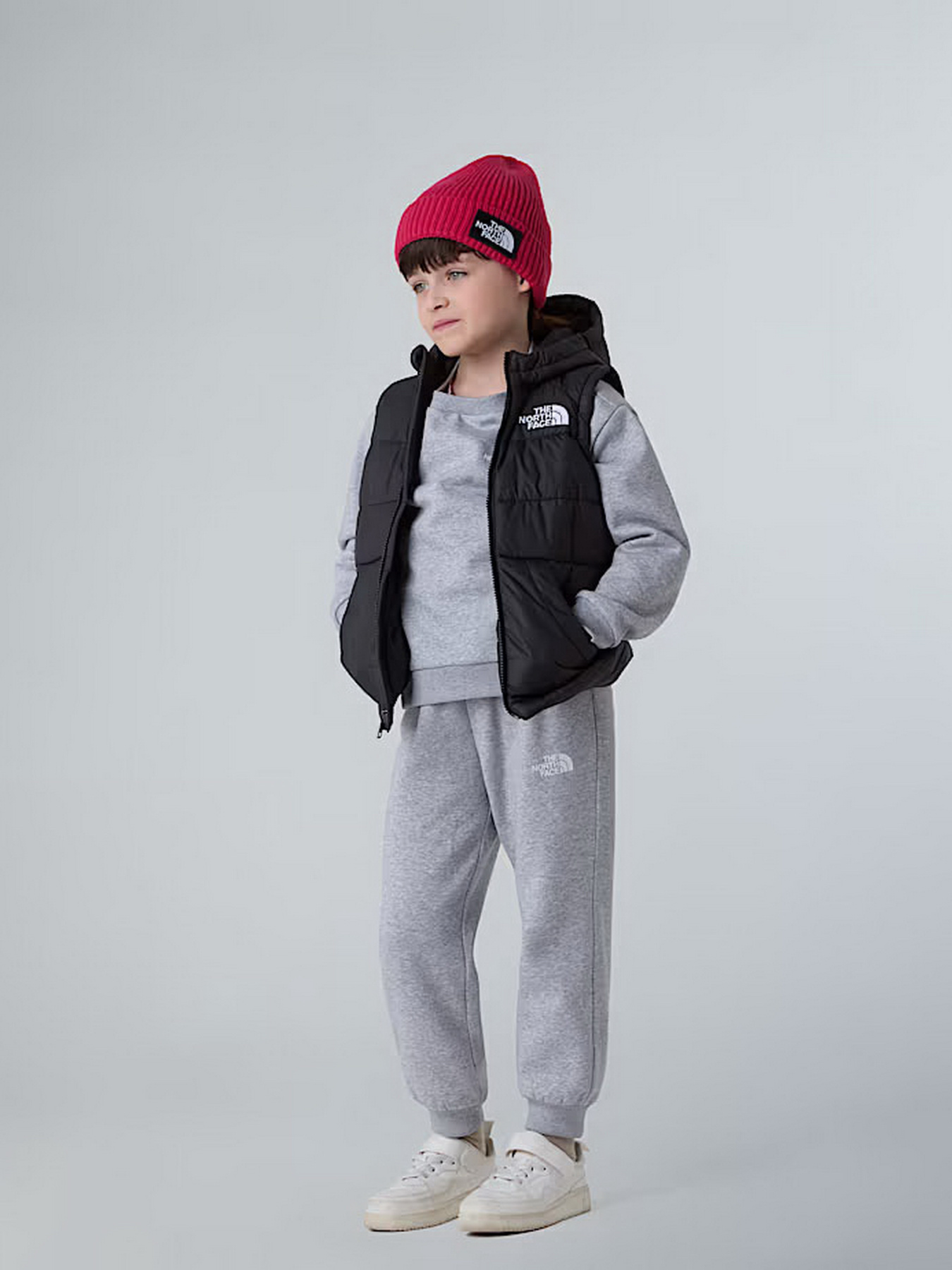 Утепленный жилет The North Face Hooded модель NF0A84YJJK31 Фото