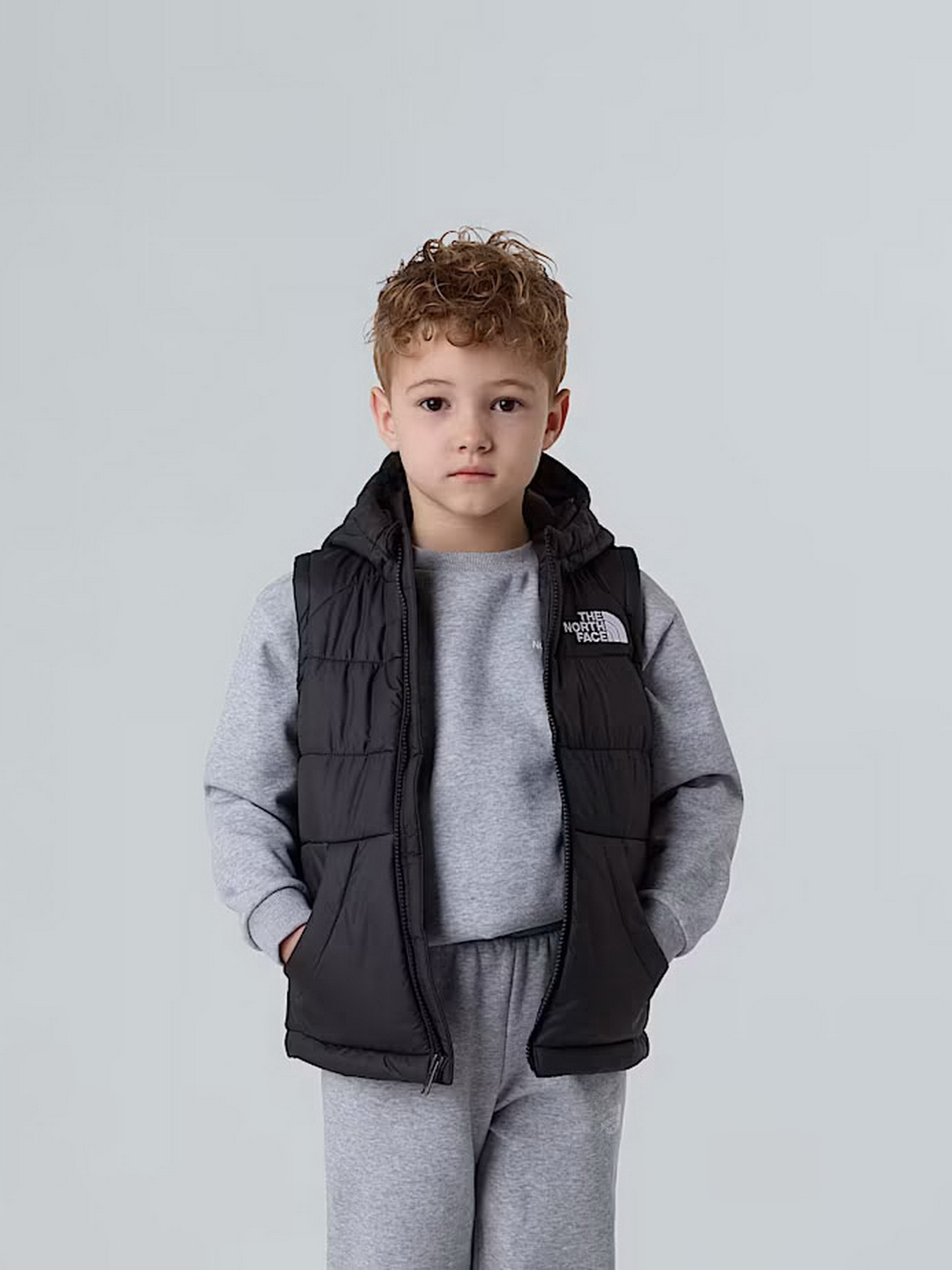 Утепленный жилет The North Face Hooded модель NF0A84YJJK31 Фото