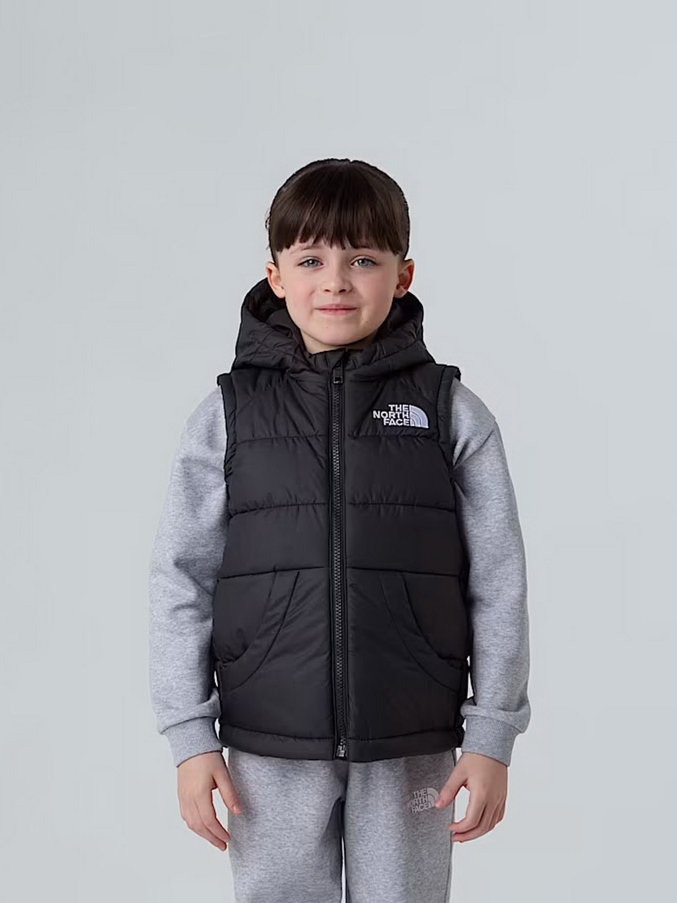 Утепленный жилет The North Face Hooded модель NF0A84YJJK31 Фото