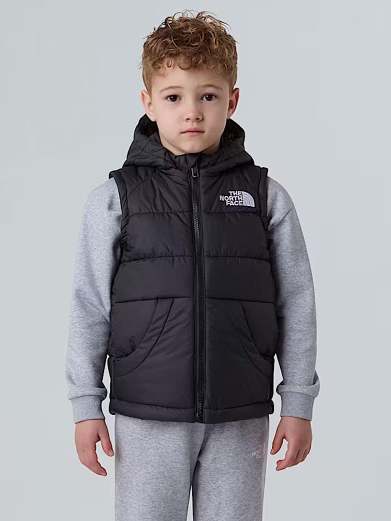 Утепленный жилет The North Face Hooded модель NF0A84YJJK31 Фото