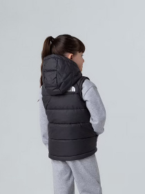 Утепленный жилет The North Face Hooded модель NF0A84YJJK31 Фото
