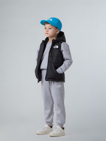 Утепленный жилет The North Face Hooded модель NF0A84YJJK31 Фото