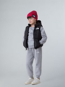 Утепленный жилет The North Face Hooded модель NF0A84YJJK31 Фото