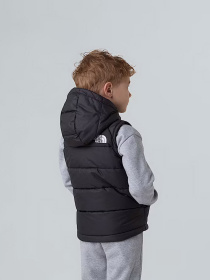 Утепленный жилет The North Face Hooded модель NF0A84YJJK31 Фото