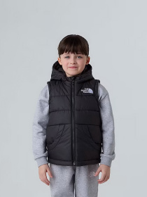 Утепленный жилет The North Face Hooded модель NF0A84YJJK31 Фото