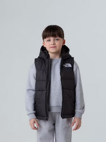 Утепленный жилет The North Face Hooded модель NF0A84YJJK31 Фото