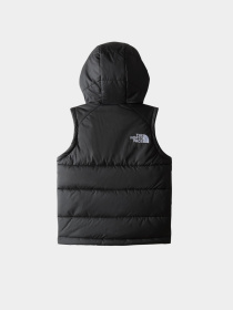 Утепленный жилет The North Face Hooded модель NF0A84YJJK31 Фото