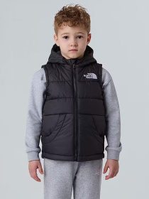 Утепленный жилет The North Face Hooded модель NF0A84YJJK31 Фото