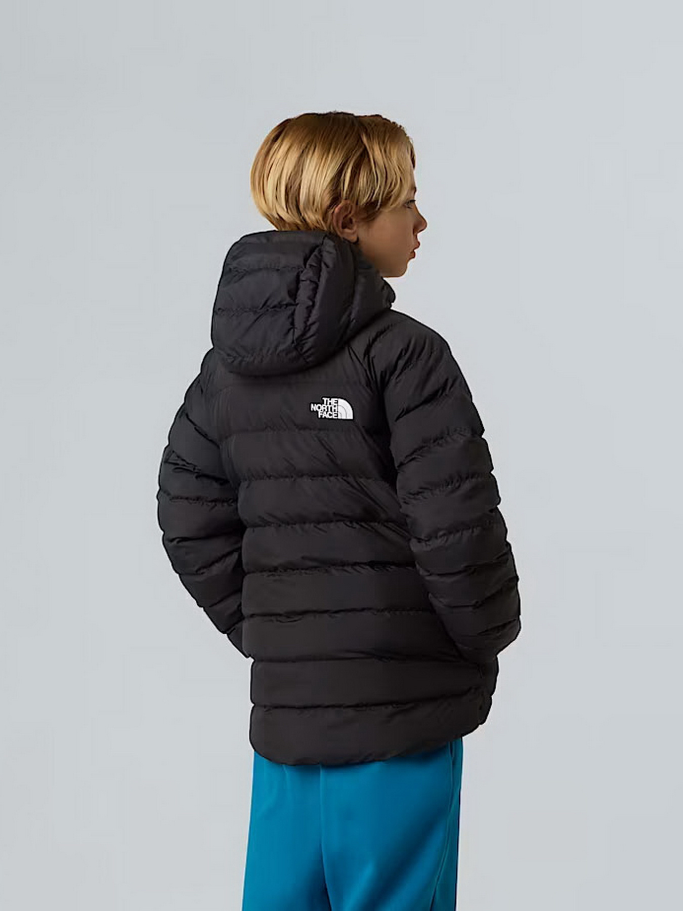 Зимняя куртка The North Face модель NF0A88TWWOO1 Зимняя куртка The North Face модель NF0A88TWWOO1 Фото