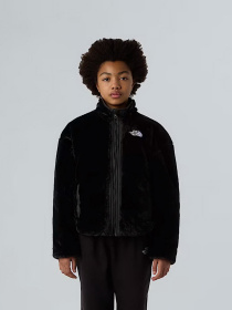 Зимняя куртка The North Face модель NF0A88UCJK31 Фото