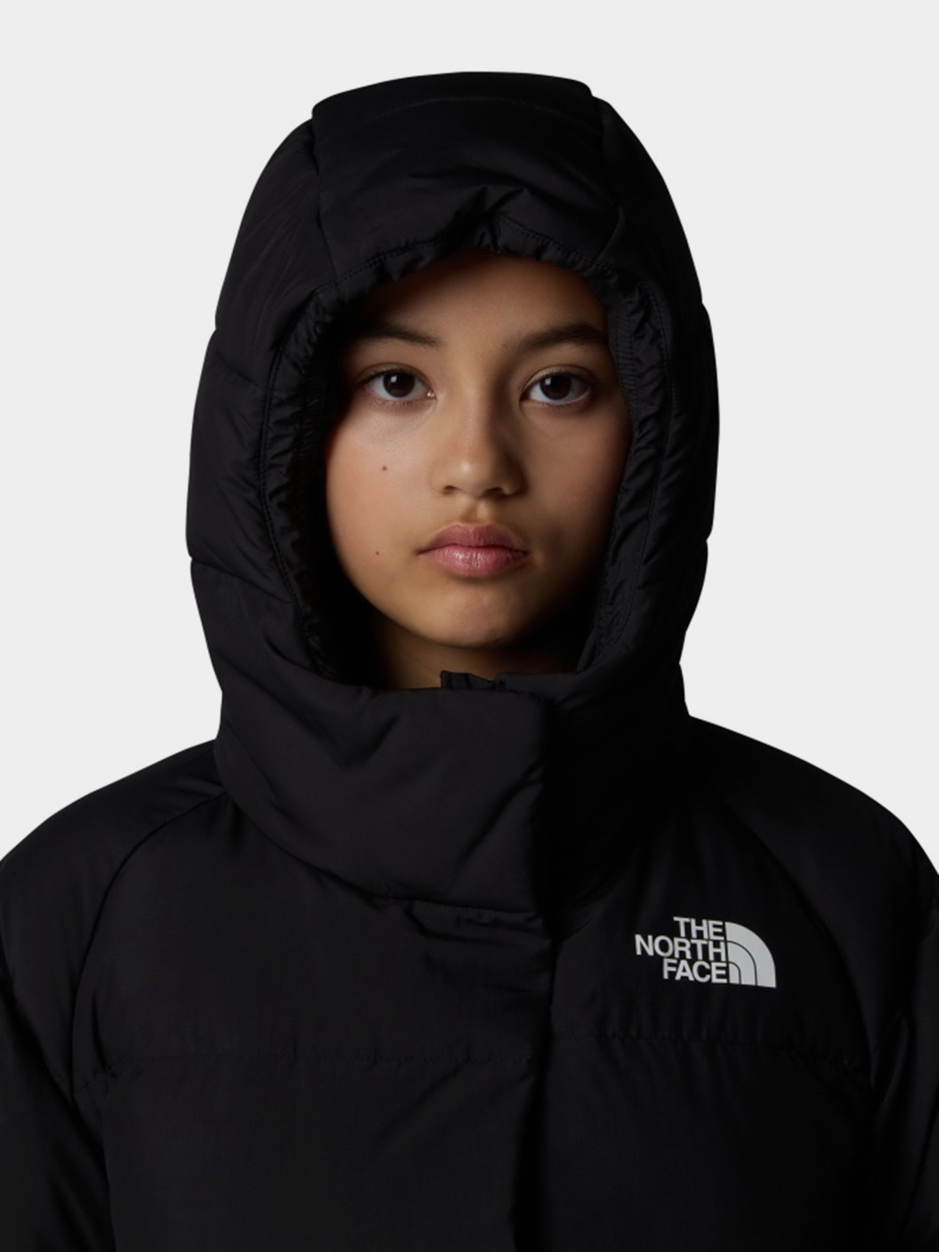 Зимняя куртка The North Face модель NF0A88UDJK31 Фото