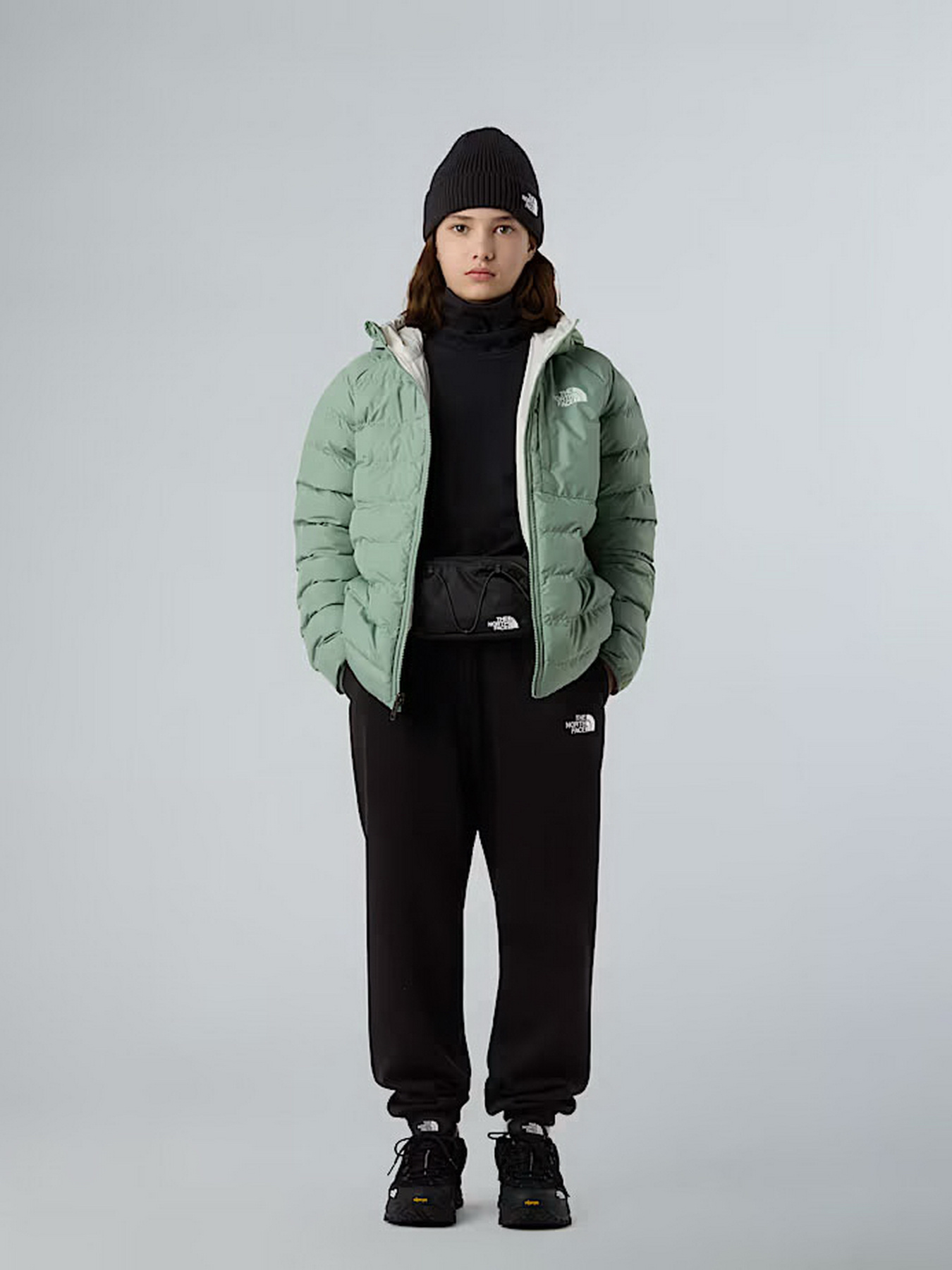 Зимняя куртка The North Face модель NF0A88UEBQ11 Фото