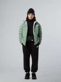 Зимняя куртка The North Face модель NF0A88UEBQ11 Фото