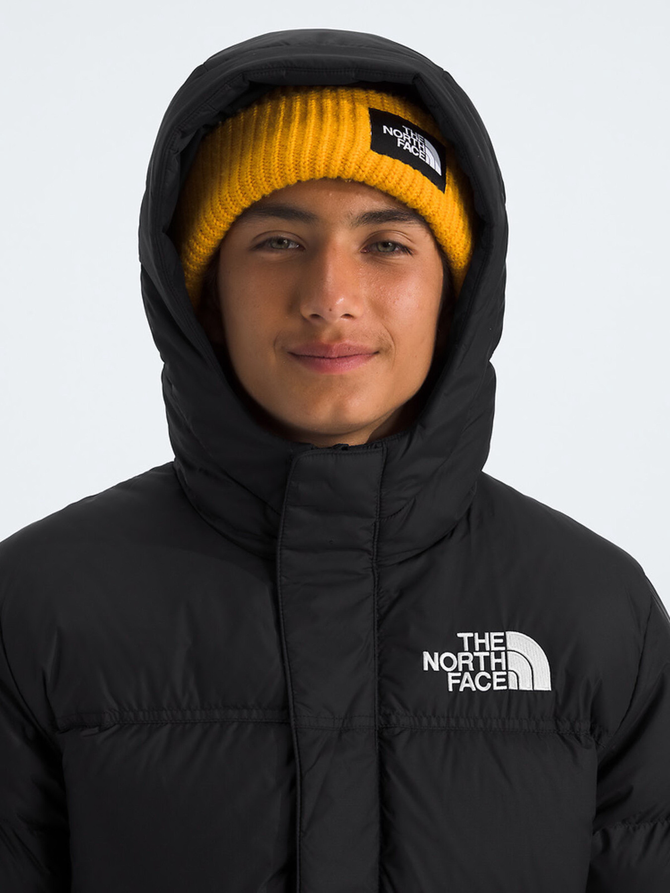 Парка The North Face модель NF0A88UFKX71 Фото