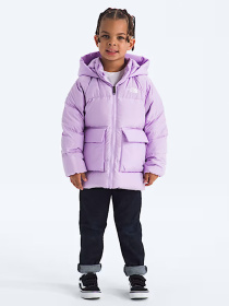 Парка The North Face модель NF0A88VFQZI1 Фото