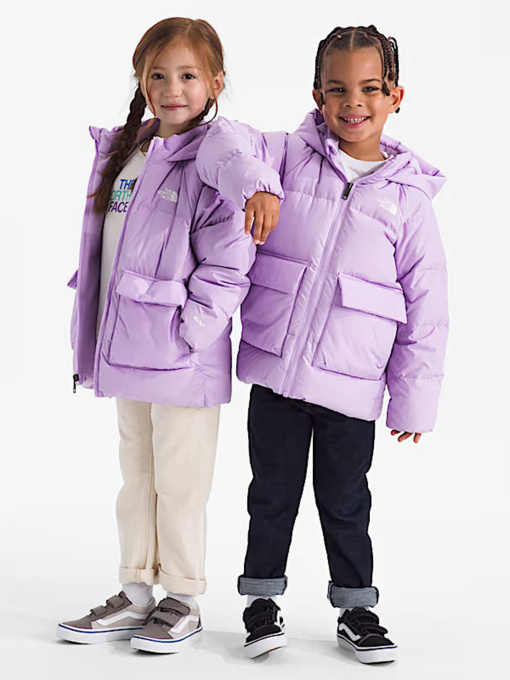 The North Face модель NF0A88VFQZI1 Фото