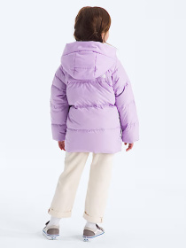 Парка The North Face модель NF0A88VFQZI1 Фото