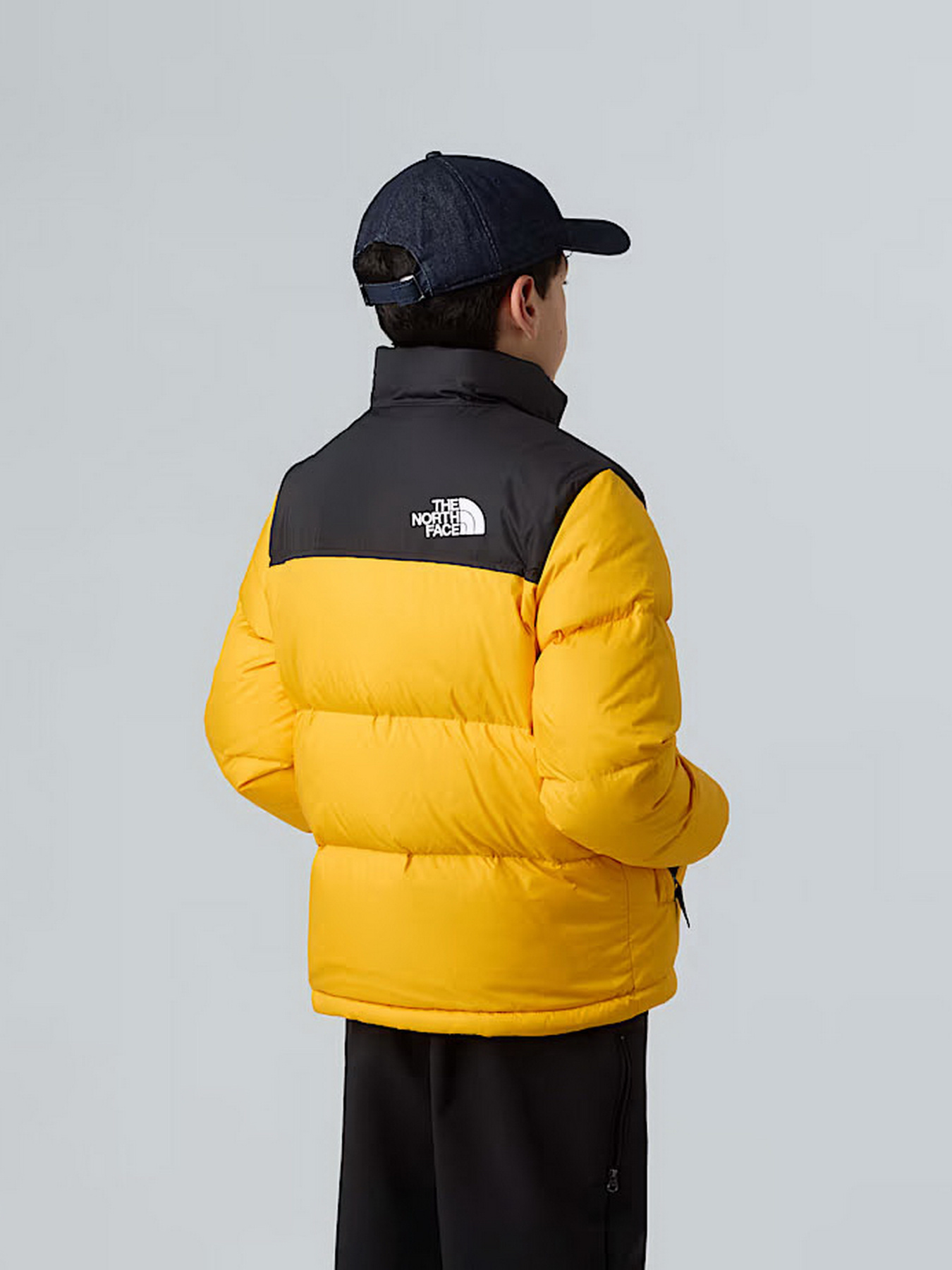 Зимняя куртка The North Face 1996 Retro Nuptse модель NF0A8A4CGO71 Фото