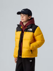 Зимняя куртка The North Face 1996 Retro Nuptse модель NF0A8A4CGO71 Фото