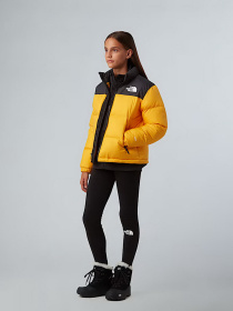 Зимняя куртка The North Face 1996 Retro Nuptse модель NF0A8A4CGO71 Фото