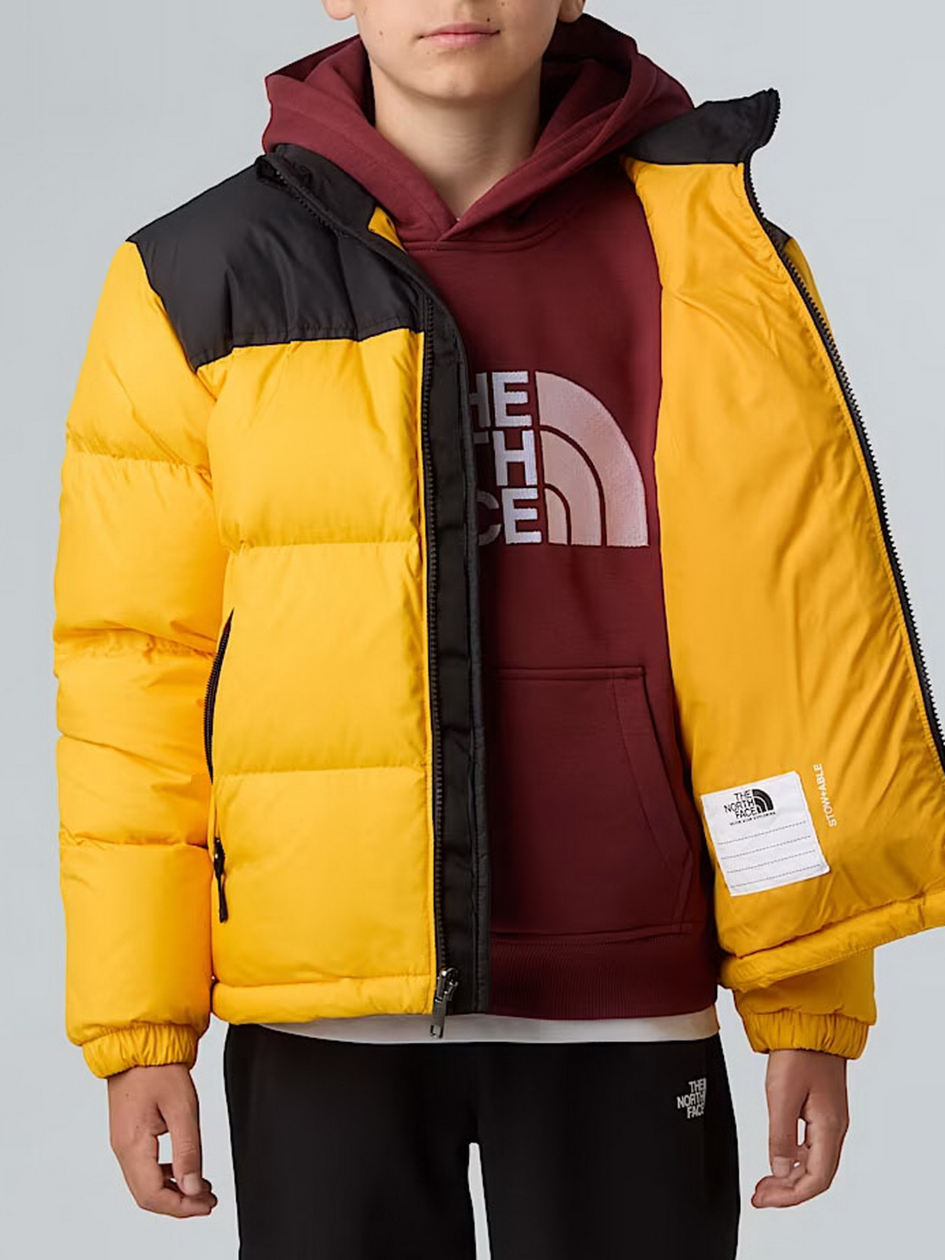 Зимова куртка The North Face 1996 Retro Nuptse модель NF0A8A4CGO71 Фото