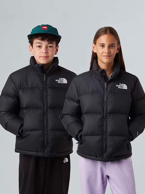 The North Face NF0A8A4CGOG1 модель NF0A8A4CGOG1 Фото