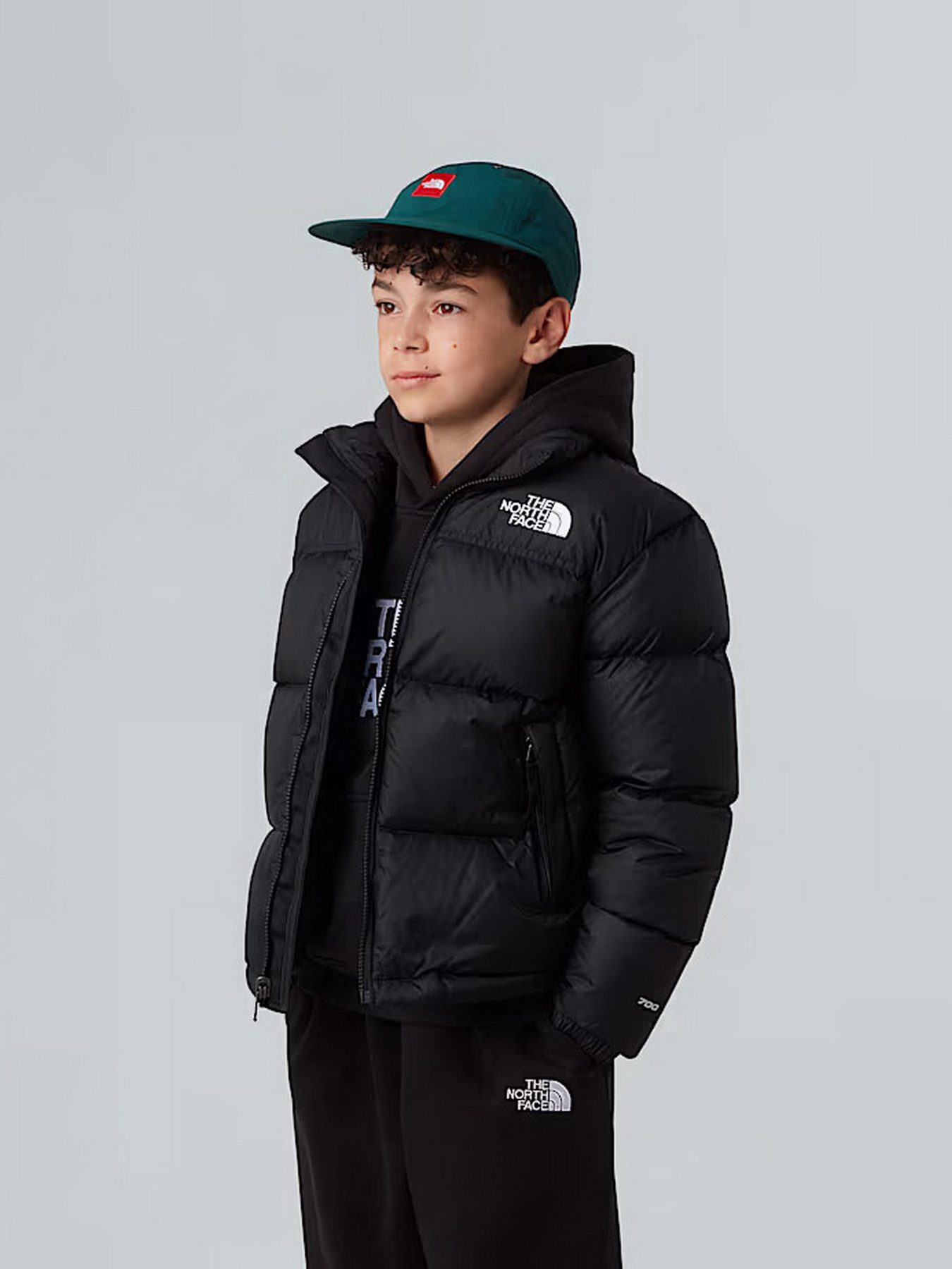 Зимова куртка The North Face модель NF0A8A4CGOG1 Фото