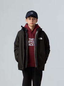 Зимняя куртка The North Face модель NF0A8CUSJK31 Фото