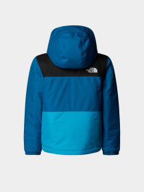 Аутдор и горнолыжная куртка The North Face модель NF0A88VKD201 Фото
