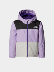 Аутдор и горнолыжная куртка The North Face модель NF0A88VKE151 Фото
