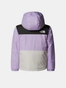 Аутдор и горнолыжная куртка The North Face модель NF0A88VKE151 Фото