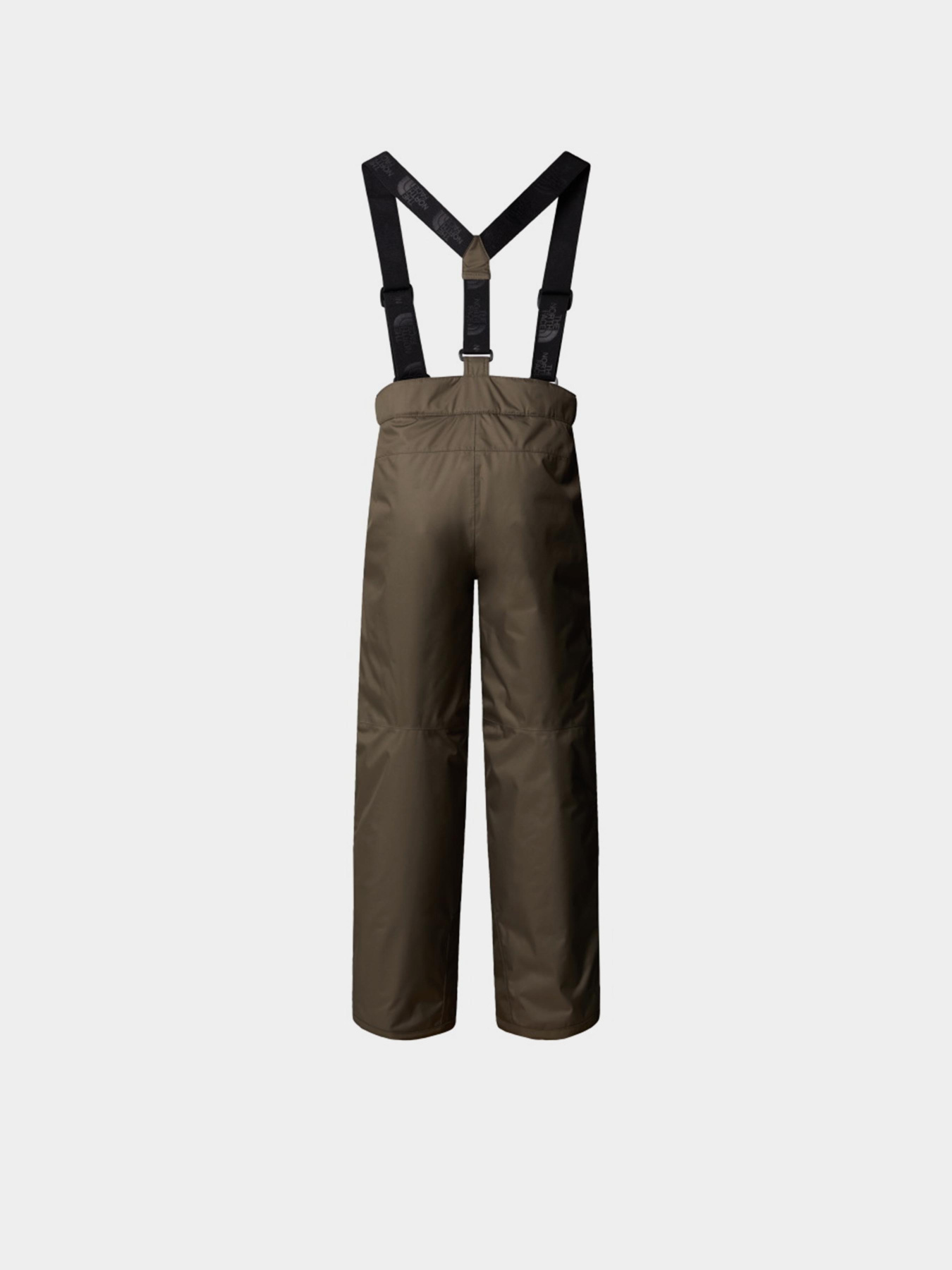 Комбинезон для горнолыжного спорта The North Face модель NF0A8EJP21L1 Фото